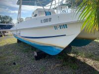 2013 25' Twin Vee, 26 Ocean Cat (Dania Beach, FL)